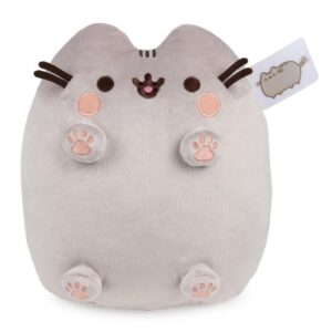 A Pusheen plushie with paws
